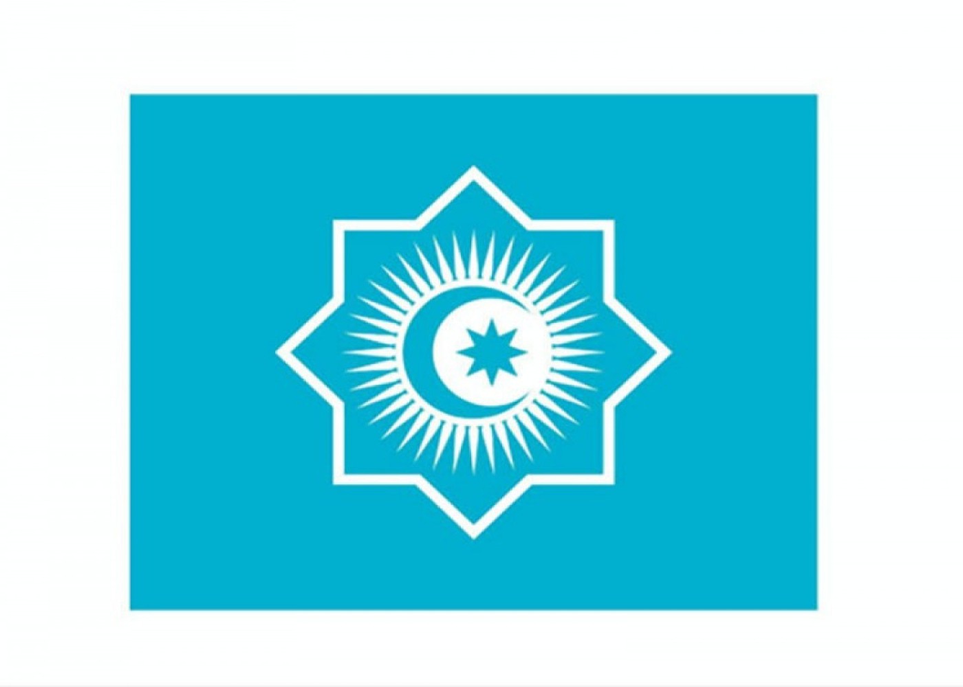 TDT-nin yeni bayrağı qəbul edildi