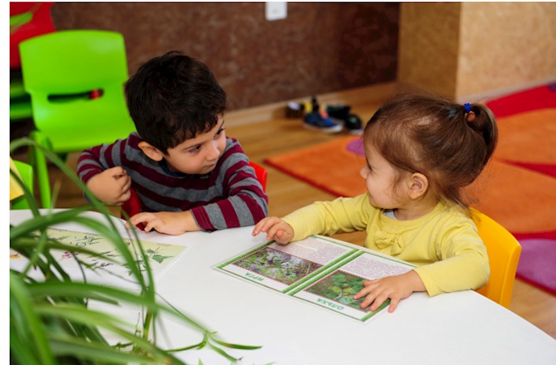 COP29-da bağçalar işləməyəcək? — Rəsmi CAVAB