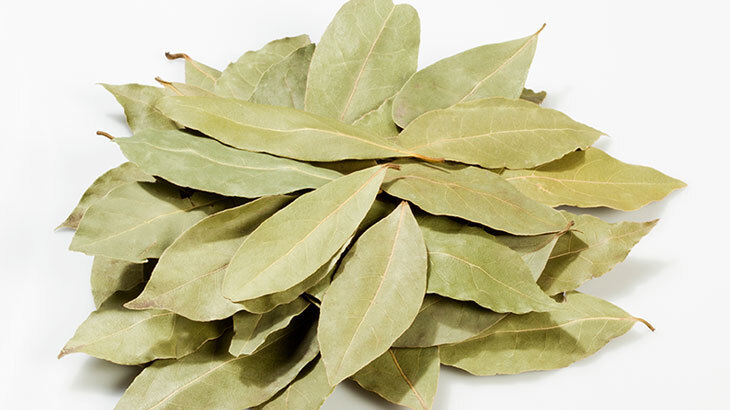 Dəfnə yarpağı görün hansı xəstəliklərə dərman imiş - İSTİFADƏ QAYDASI