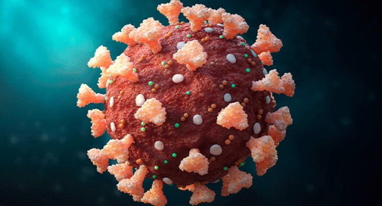 Çindən daha bir virus çıxdı - İnsanlar üçün təhlükə var?