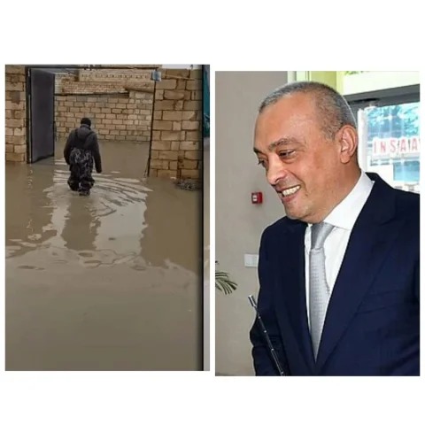 Azərbaycanın ən bivec qurumu - 