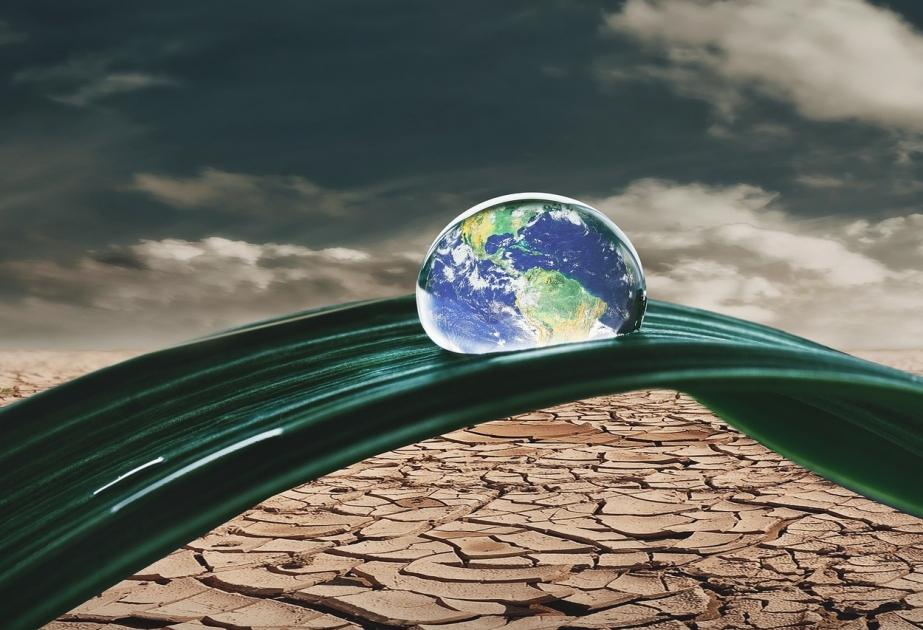 Tələbələrin iqlim dəyişikliyi və səhiyyə mövzularını öyrənməsi... -EKSPERT