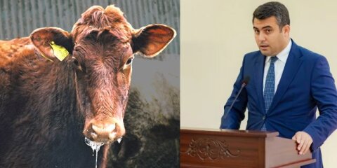 Ceyhun Cəlilov Naxçıvana dabbaq xəstəliyi yayırmış – DƏLİL