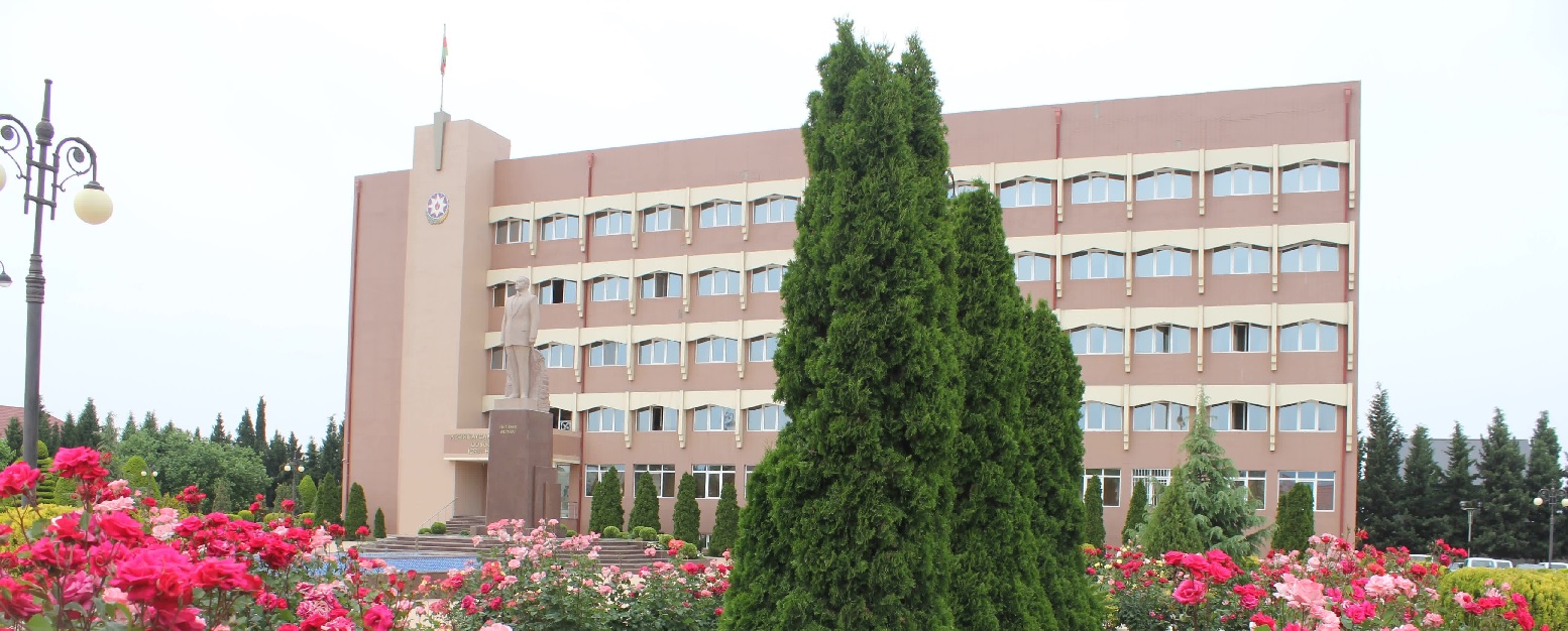 “İcra başçısının sakinlərə qarşı sayğısızlığı və laqeydliyi dözülməz həddə çatıb” - Göygöl sakinləri zibil qabları olmamasından ŞİKAYƏTÇİDİR