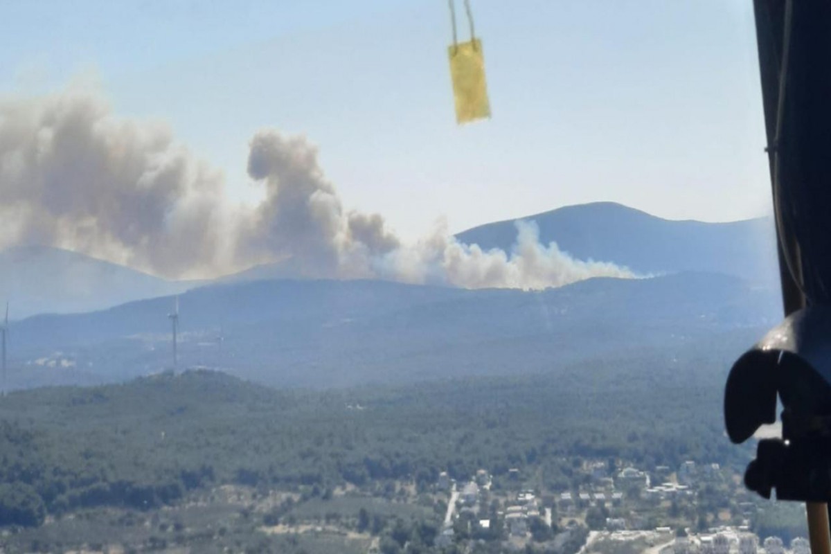 Türkiyədə meşə yanır