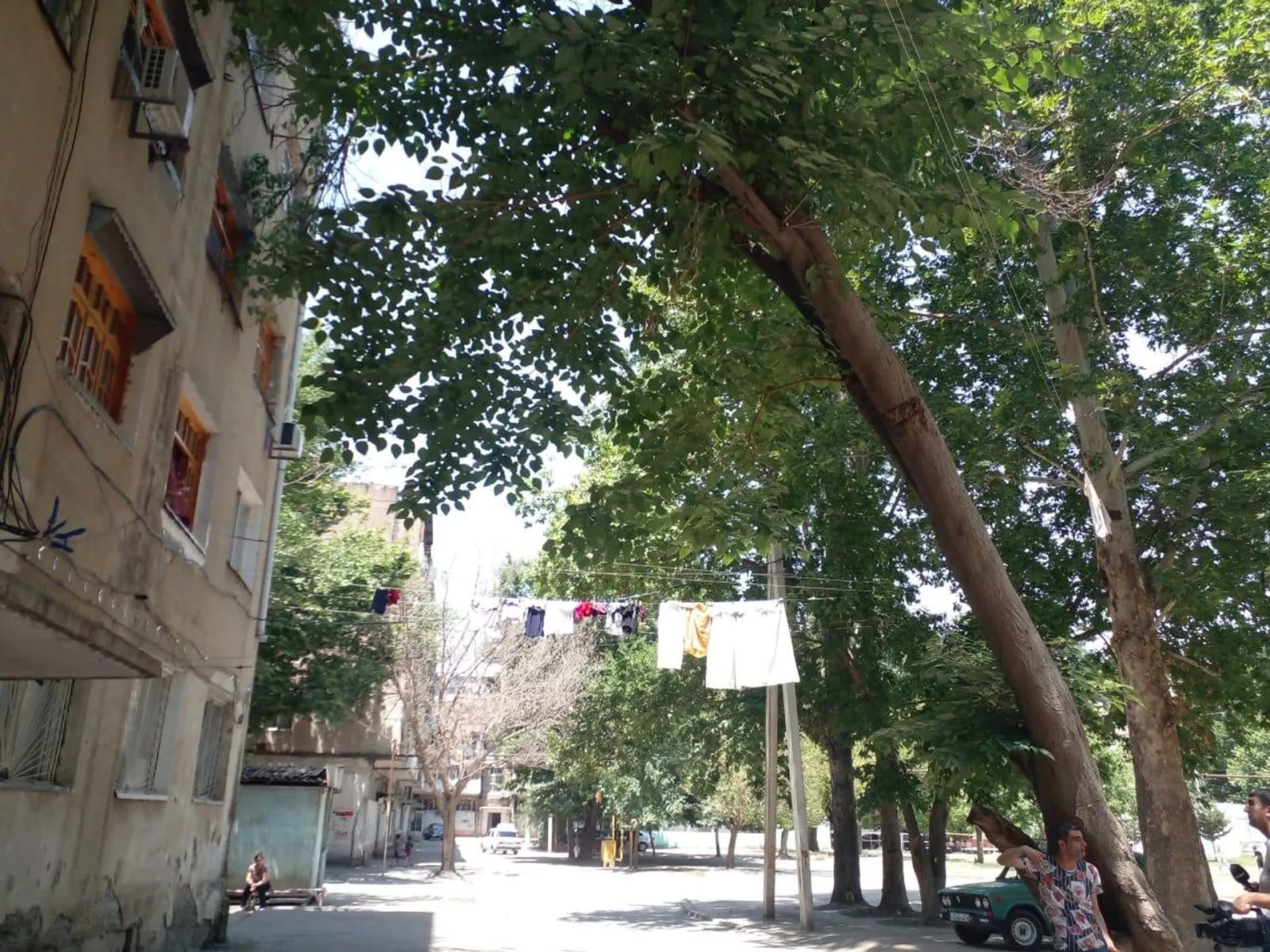 “Üfunət iyindən nə gecəmiz, nə də gündüzümüz var” - Mingəçevir sakinləri rəsmi qurumlardan ŞİKAYƏTÇİDİR 