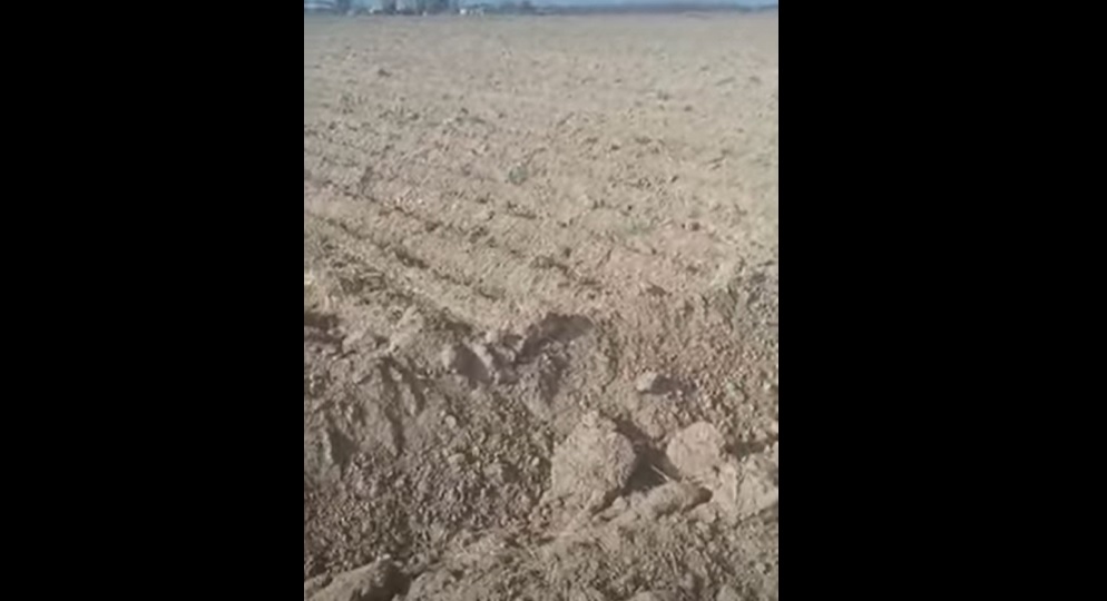 SƏDƏRƏK SAKİNİ SUSUZLUQDAN ŞİKAYƏT EDİR - “Özləri 40 hektar yonca əkirlər, biz yonca, taxıl əkəndə su verilmir”