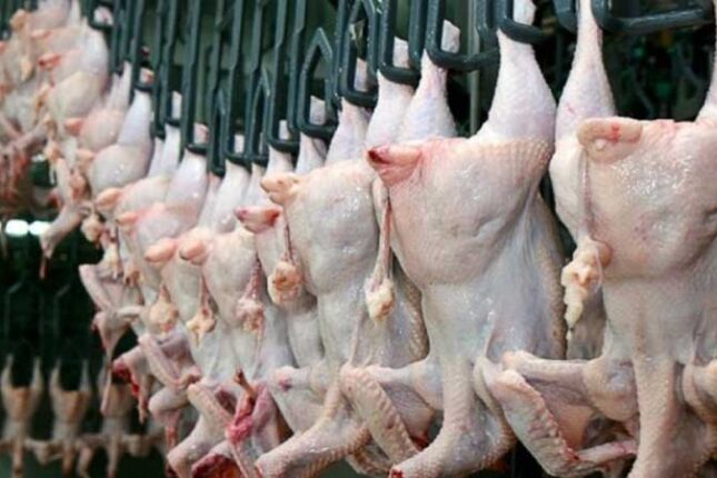 Quş ətinin qiyməti kəskin artdı (VİDEO)