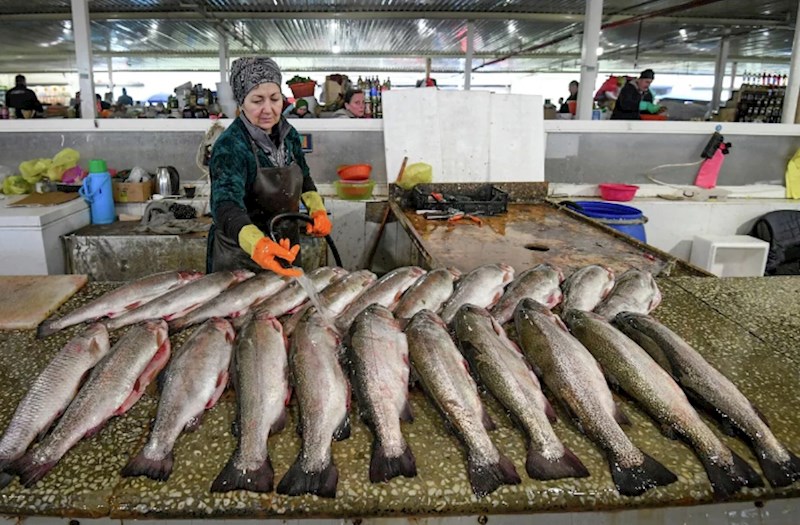  Balıq alarkən aldanmamaq üçün bunlara diqqət edin — QİYMƏTLƏR