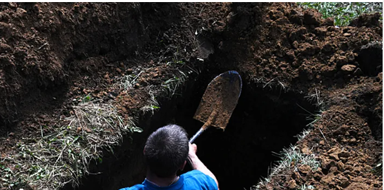 Rusiya bu məhsullara rüsum tətbiq edə bilər — AÇIQLAMA