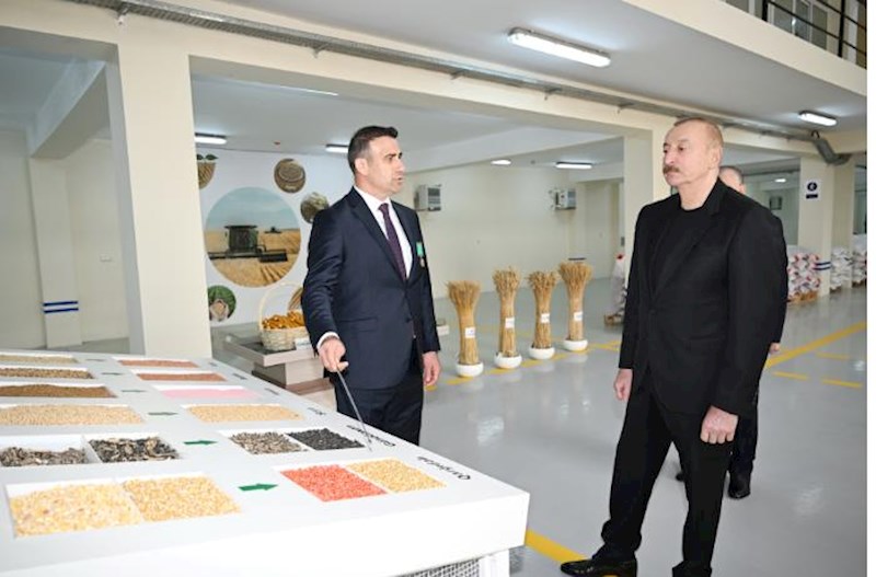 Prezident toxum istehsalı müəssisəsi ilə tanış oldu – Fotolar