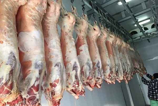 Monqolustandan gətirilən ətlə bağlı VACİB AÇIQLAMA: Həm dini, həm də gigiyenik baxımdan...