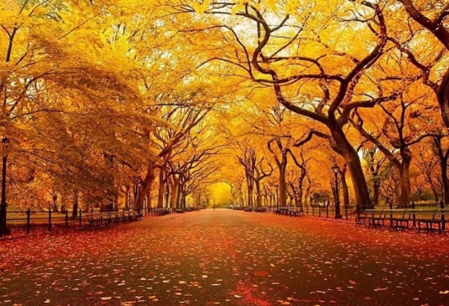 Azərbaycana PAYIZ GƏLDİ