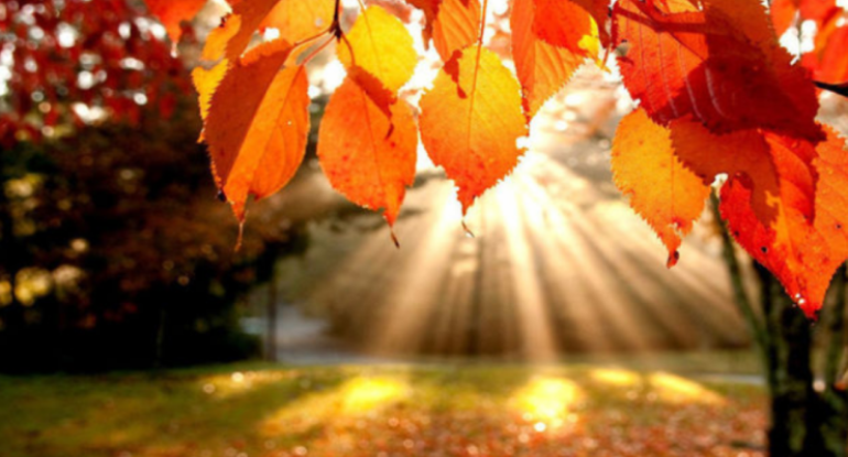 Havaların isti keçməsi ilə bağlı AÇIQLAMA