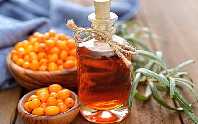 Çaytikanı bitkisinin faydaları və düzgün istifadə qaydası - Hansı xəstələrə OLMAZ