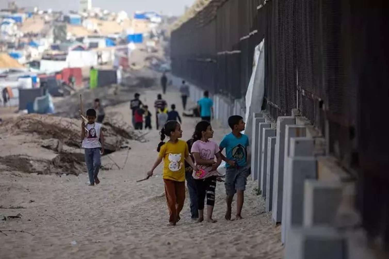 Ya udmaq üçün oynayın, ya da... - Tramp