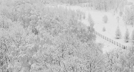 Moskvaya ilk qar yağdı