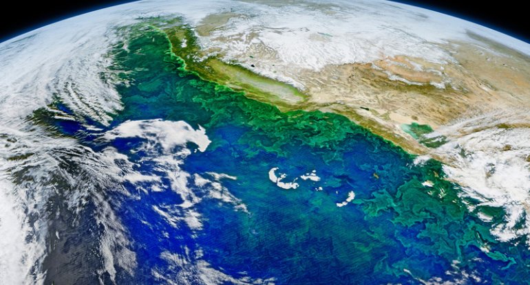 Alimlər: Yerin oxu insan səhvinə görə əyilib