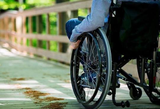 Baş nazirdən əlilliyi olan şəxslərlə bağlı - Qərar