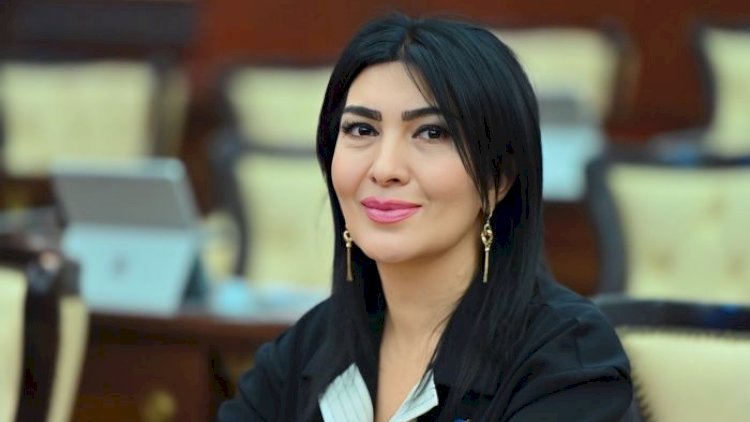 Deputat: O boyda qəsəbədə mədəniyyət evi yoxdur