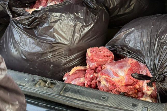 Bakıda 154 kq at ətini mal əti adı ilə satmaq istədilər – FOTOLAR