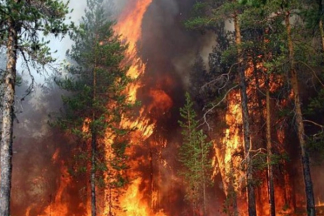 Culfa meşələri yanır: İran Azərbaycanın yardımından imtina edib