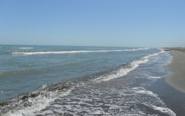 Bakıda ana 3 günlük körpəsini dənizə ataraq öldürüb