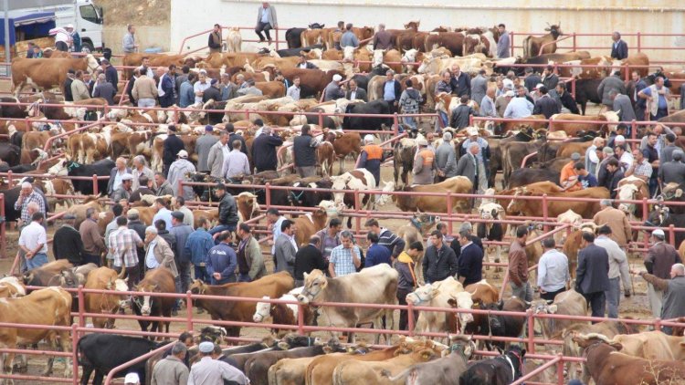 Bağlanan heyvan bazarları ilə bağlı açıqlama: “Mümkün olmayacaq”