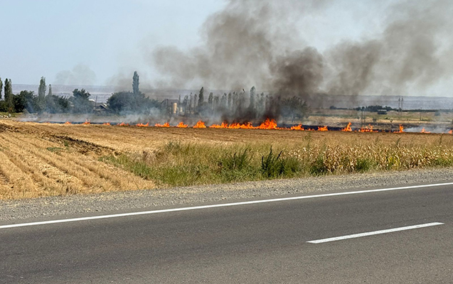 Kəlbəcərdə yanğın başlayıb