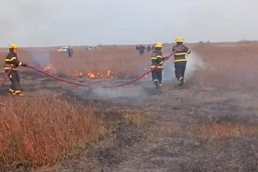 Cəlilabadda yanğın baş verib, 5 hektar ərazi yanıb