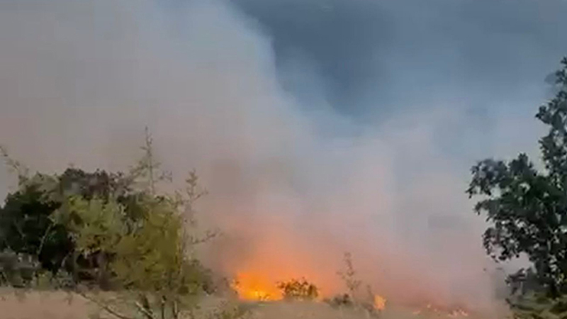 Zəngilanda 6 min hektar ərazidəki yanğını məmur törədibmiş - Hökm oxundu