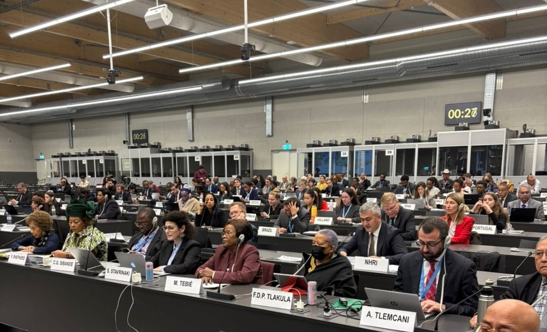 Ombudsman Aparatının nümayəndələri Cenevrədə BMT-nin İrqi ayrıseçkiliyin ləğv edilməsi üzrə Komitəsinin 116-cı Sessiyasında iştirak ediblər