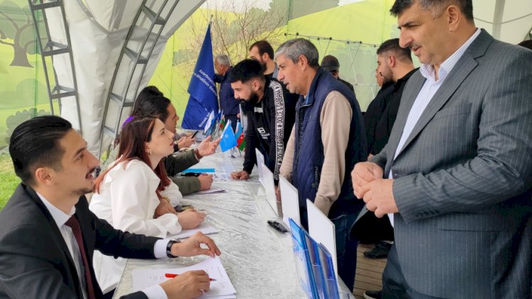 Qarabağ və Şərqi Zəngəzurda nə qədər adam işlə təmin edilib? - RƏSMİ