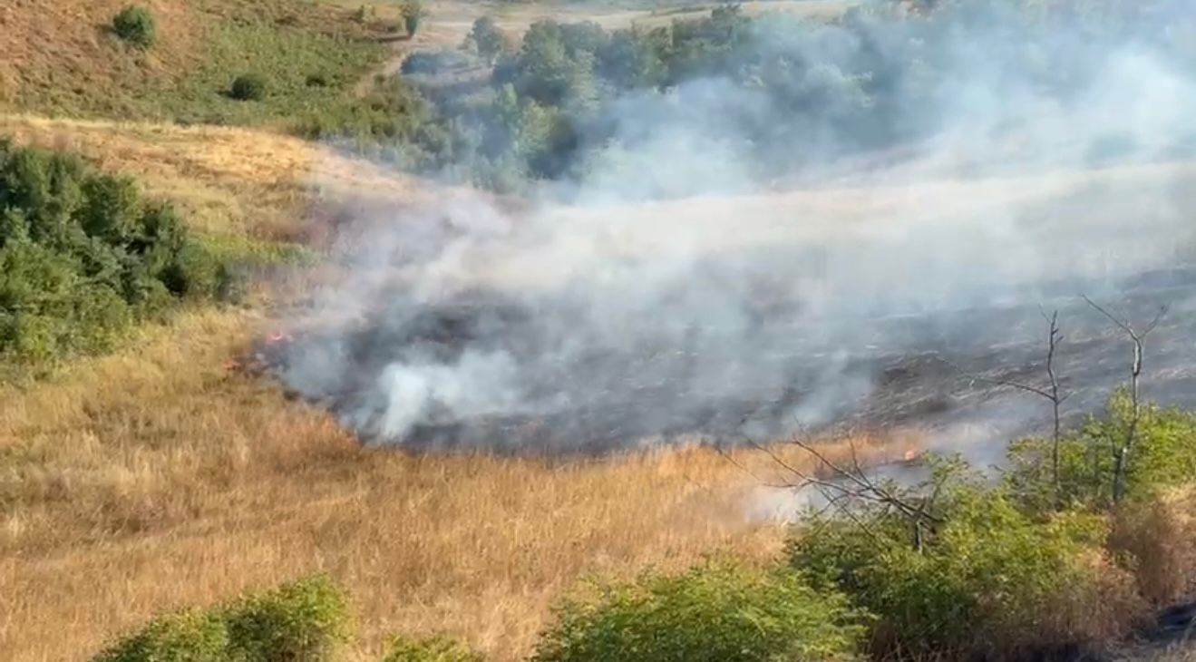 Xocalı və Xocavənddə yanğına səbəb olan şəxslər saxlanılıblar