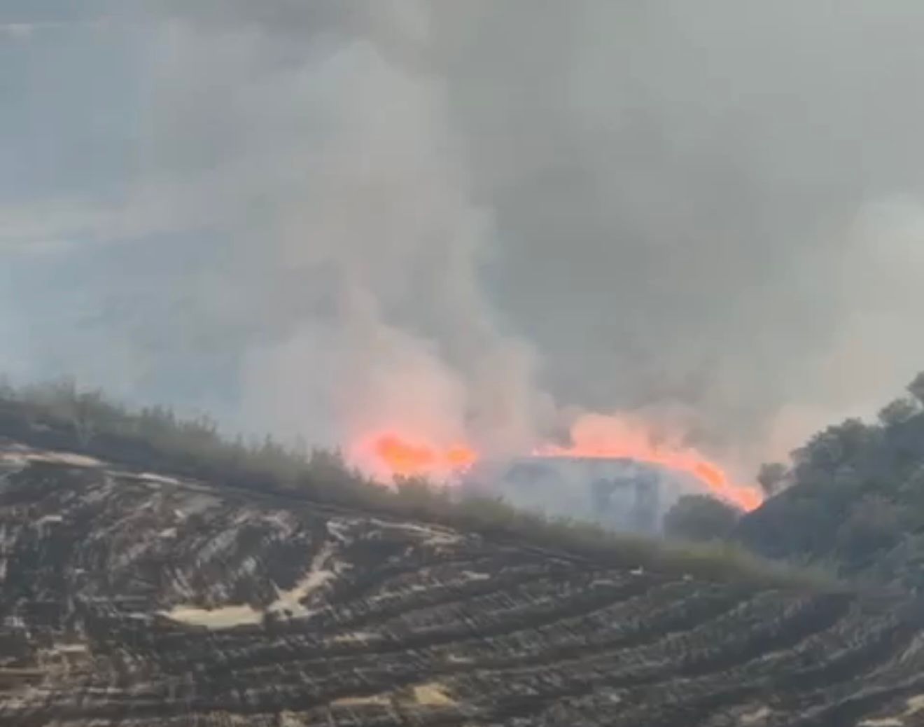 Zəngilanda yanğın törədən şəxs müəyyən edilib
