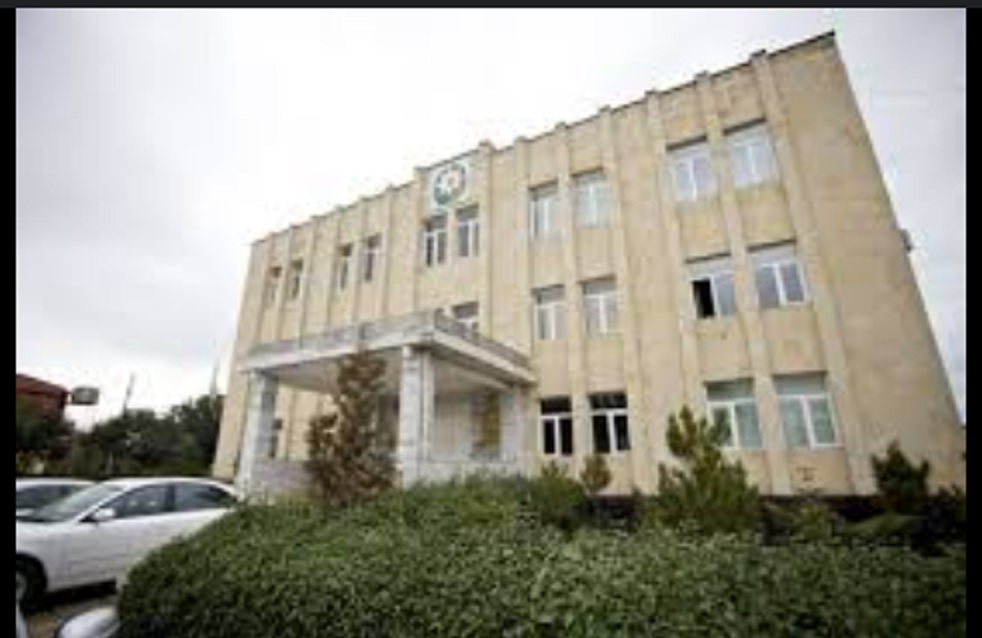 Məhkəmə icraçısı dələduzluqda ittiham olunur