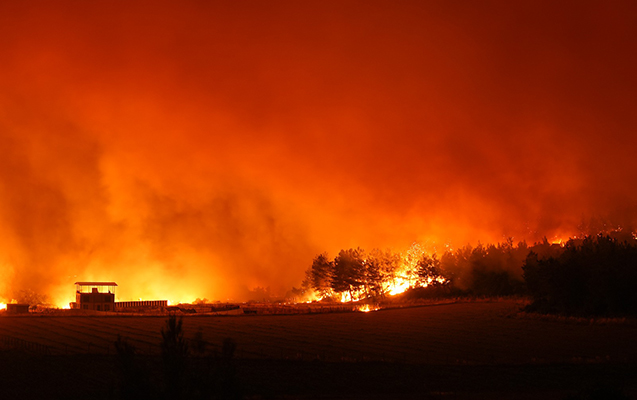 Türkiyədəki yanğınlarda 2 nəfər öldü - Fotolar