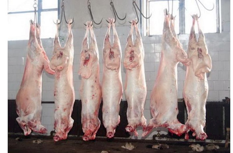 Xəstə heyvanların əti Bakıya gətirilir? — AQTA-dan istehlakçılara TÖVSİYƏ