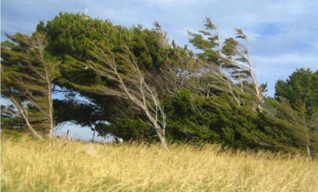 Sabah güclü külək əsəcək - Xəbərdarlıq