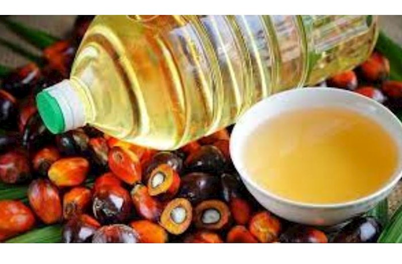 Palma yağı bu xəstəliklərlə səbəb olur — Ekspert