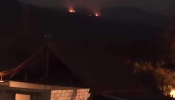 Suriyada başlayan meşə yanğını Türkiyəyə keçdi