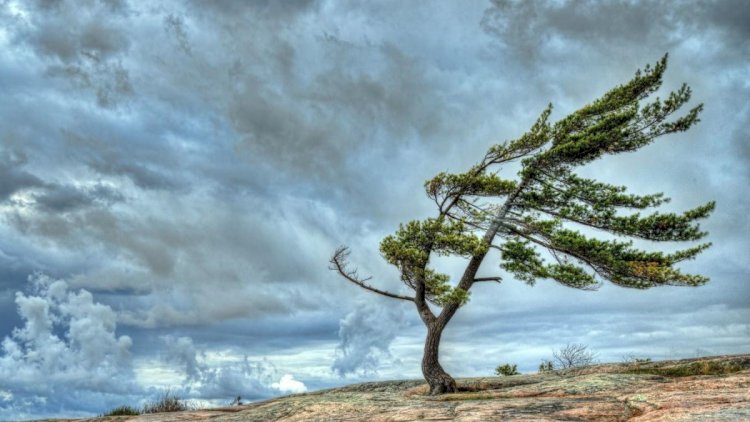 Qar, leysan yağır, külək əsir - FAKTİKİ HAVA