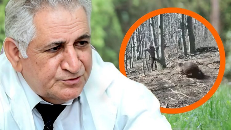 Ayıların kəndlərə hücum səbəbi bu imiş... - Zooloq AÇIQLADI