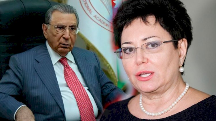 Ramiz Mehdiyevin Ukraynada “imperiyası” üzə çıxır