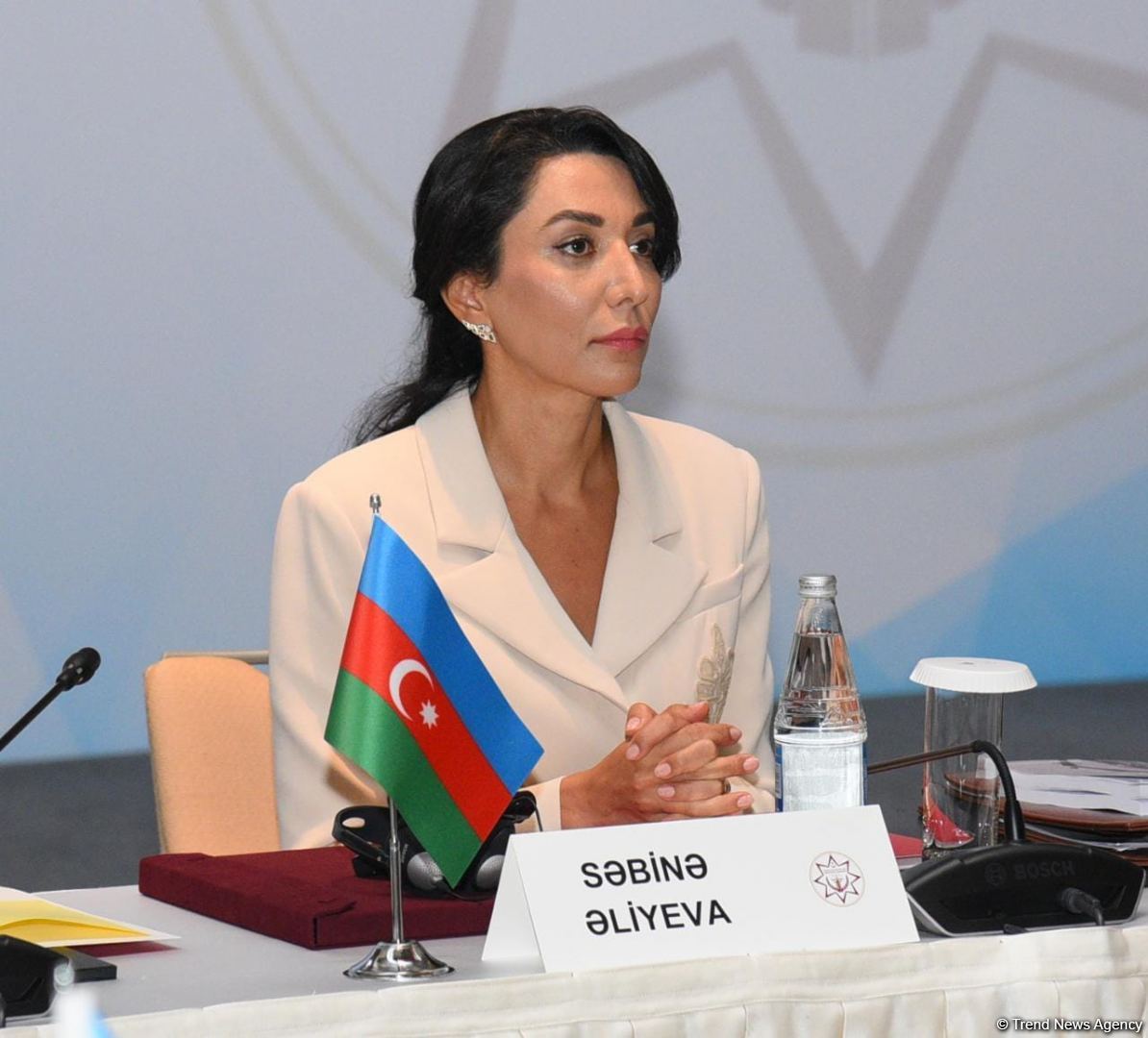 Ombudsman Səbinə Əliyeva:   “Psixi sağlamlıq hüququ fundamental insan hüququdur”