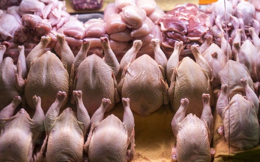 Azərbaycanda broyler toyuqlarının istehlakı məhdudlaşdırılacaq?