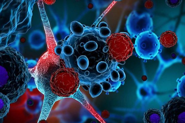 Alman həkimlər xərçəngin altı əsas əlamətini müəyyənləşdiriblər