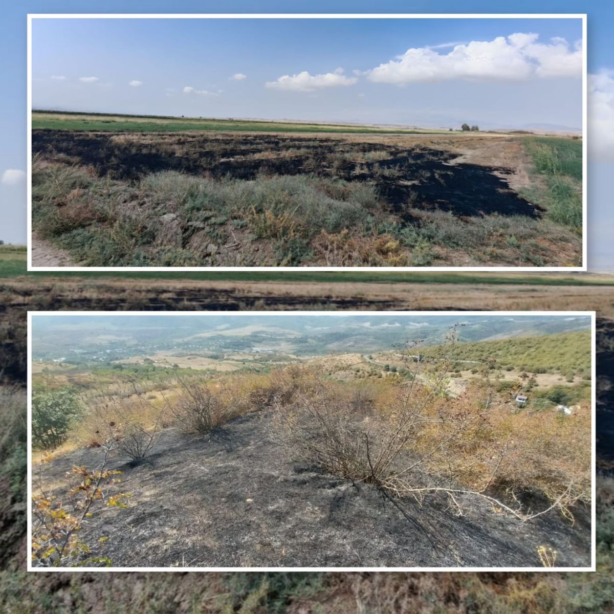 Füzuli və Xocavənddə yanğın törədən şəxslər məsuliyyətə cəlb olunublar