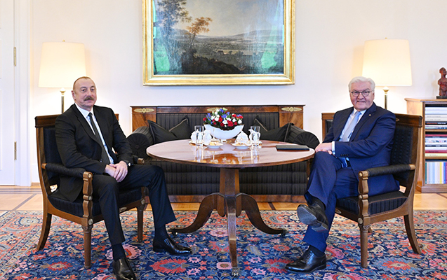 İlham Əliyev Almaniya Prezidenti ilə görüşdü - Fotolar