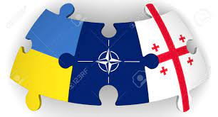 NATO-dan açıqlama: “Rusiya əvvəllər də Ukrayna ilə Gürcüstana hərbi müdaxilə tətbiq edib”